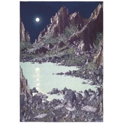 Affiche A3 Clement Vuillier - Bivouac