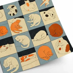 Affiche Enikő Eged - Sleeping Cat - 50 x 50 cm