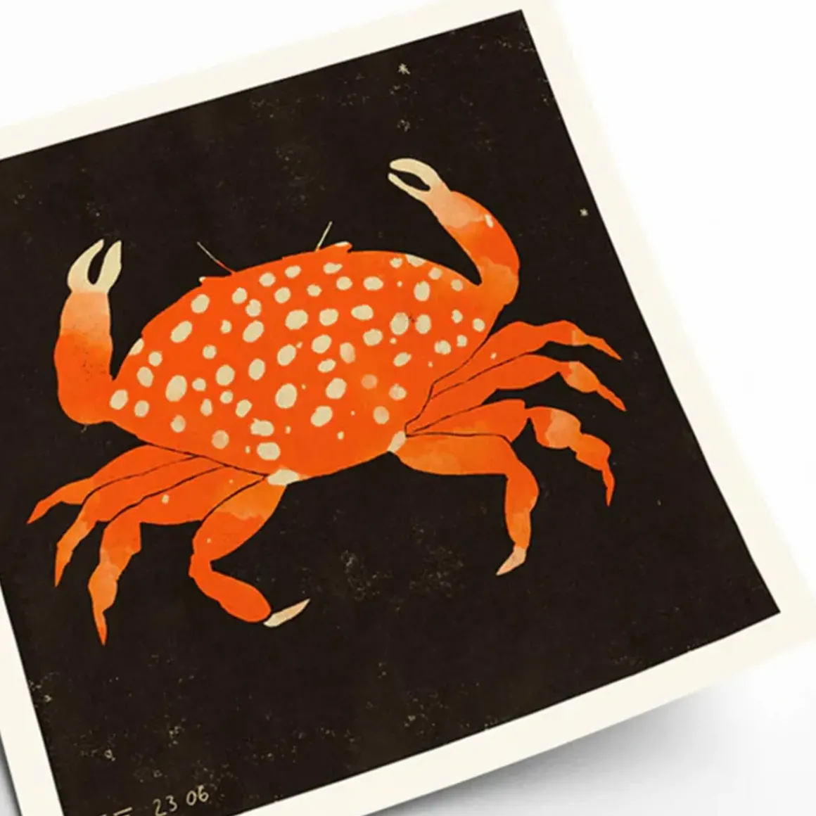 Affiche Enikő Eged - Spotted Crab - 50 x 50 cm