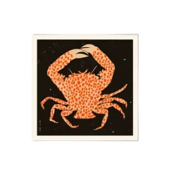 Affiche Spotted Calico Crab - 50 x 50 cm
