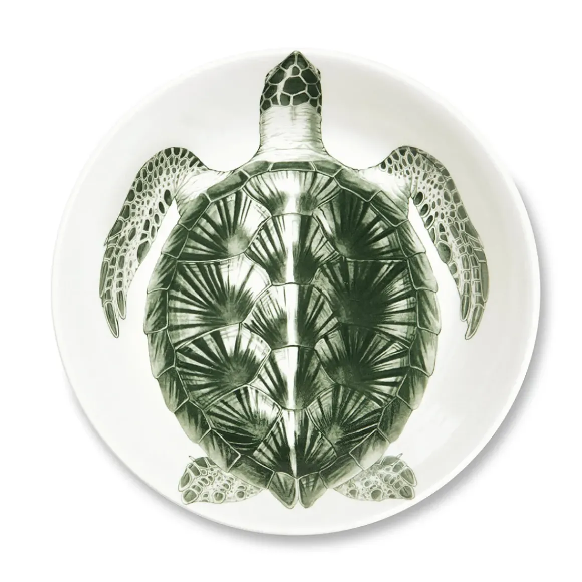 Assiette creuse - Tortue