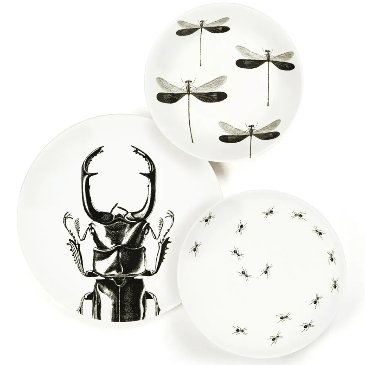 Assiette à dessert - Fourmis