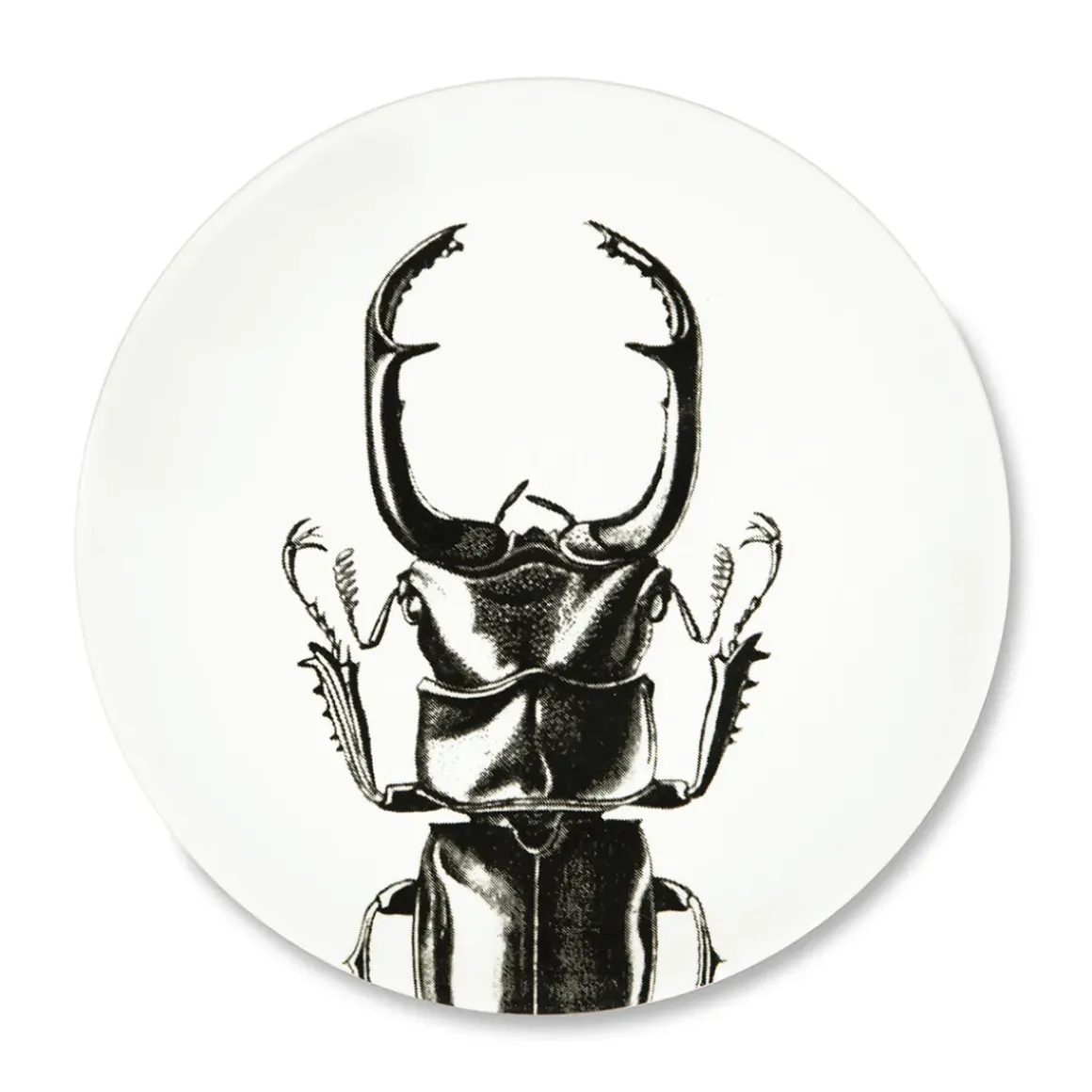 Assiette plate - Scarabée