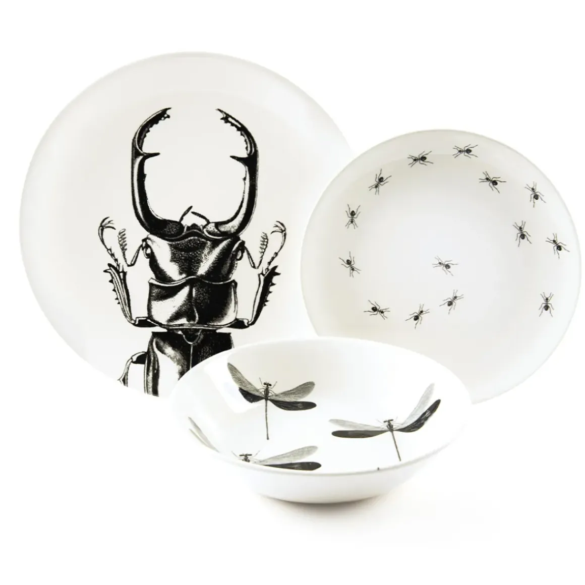 Assiette plate - Scarabée
