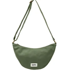 Banane Andrea Olive