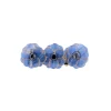 Barrette Anémones