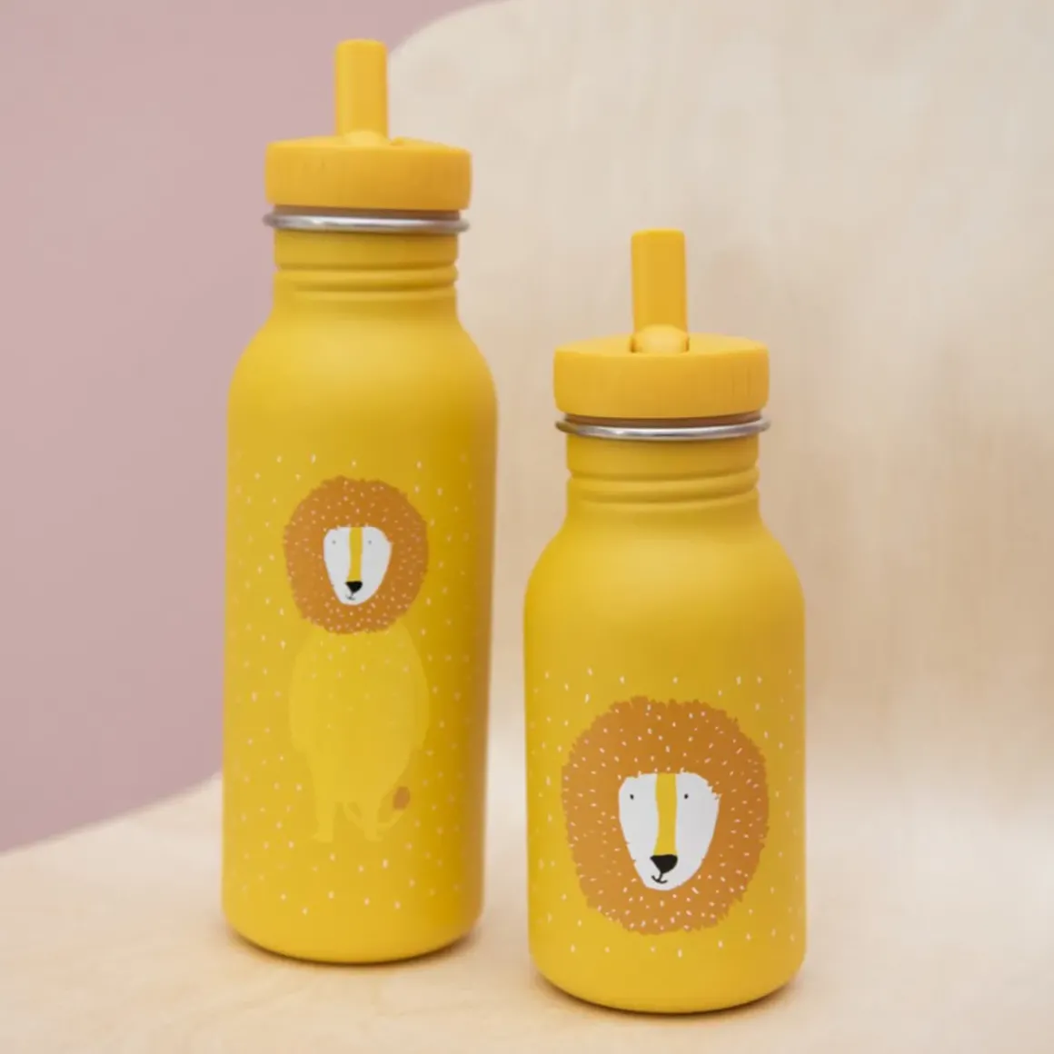 Bouteille Mr Lion - 500 ml
