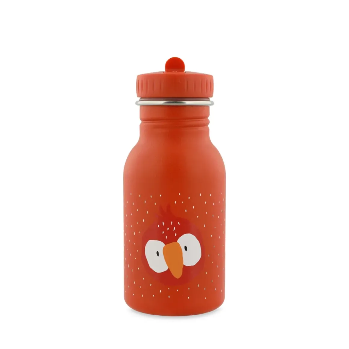 Bouteille Mr Parrot en acier inoxydable 350 ml