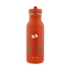 Bouteille Mr Parrot en acier inoxydable 500 ml