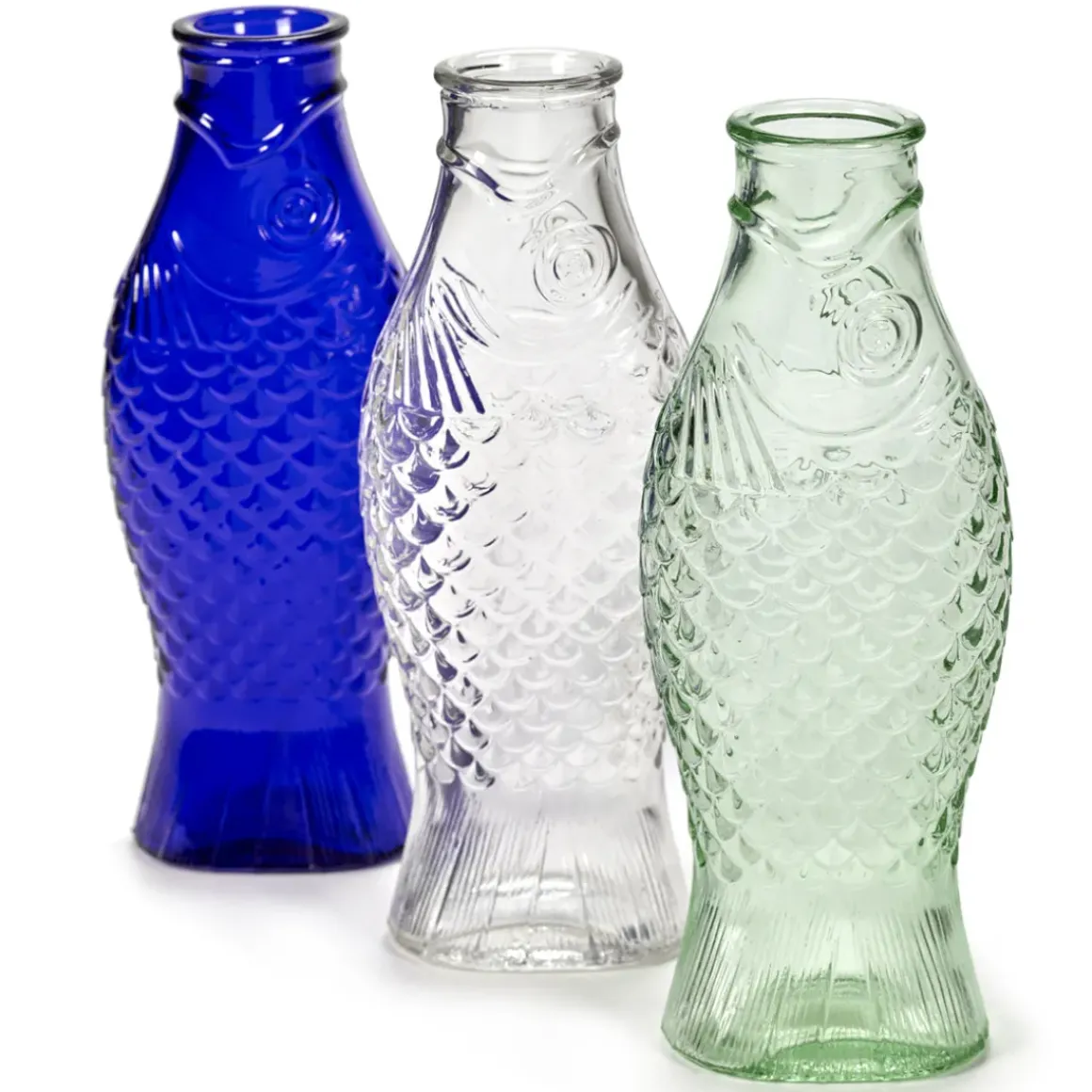 Bouteille Poisson - 1L