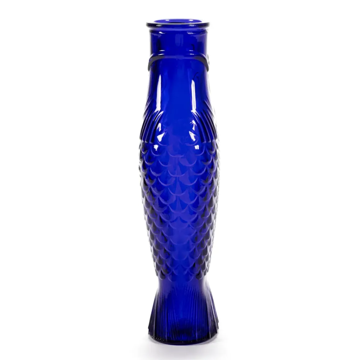 Bouteille Poisson - 1L