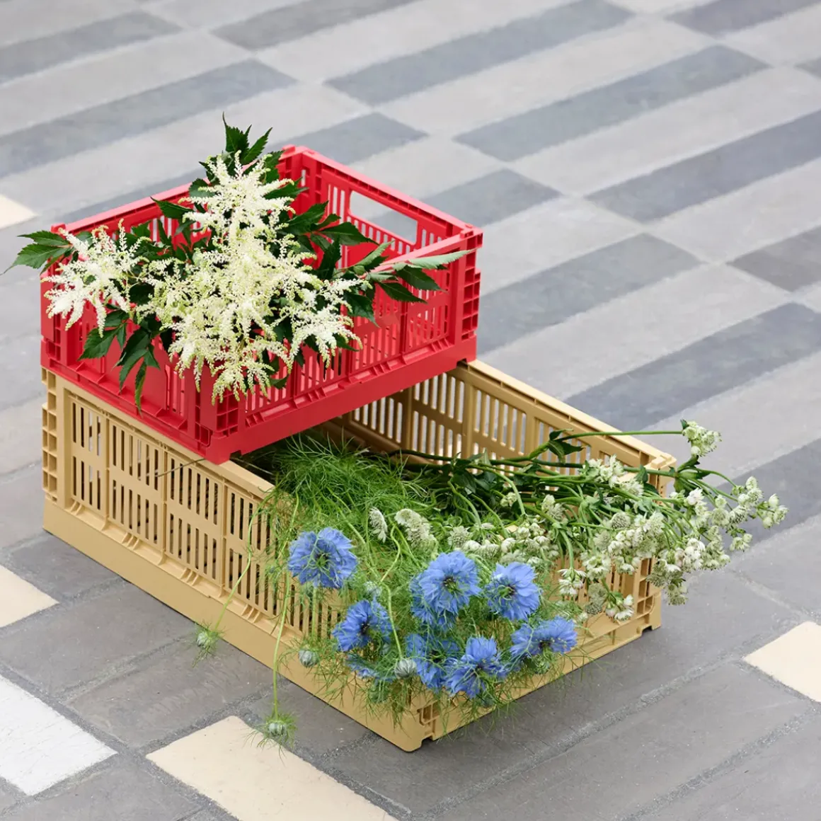 Caisse Crate S - L 26.5 cm X H 10.5 cm