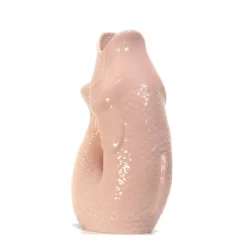 Carafe / Vase Monsieur Carafon Poisson - Rose