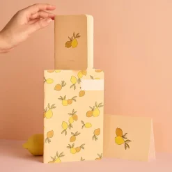 Carnet Citronnade