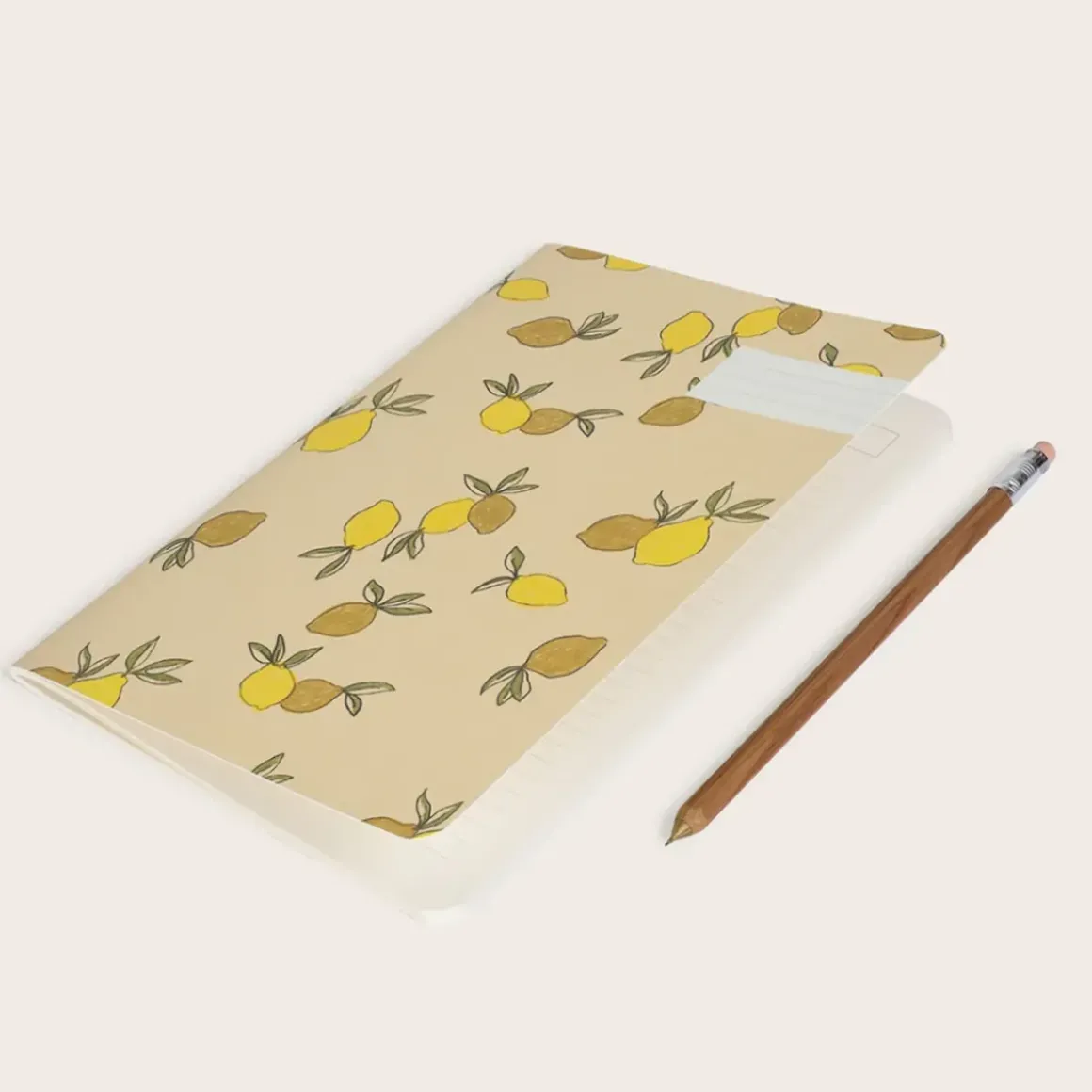 Carnet Citronnade