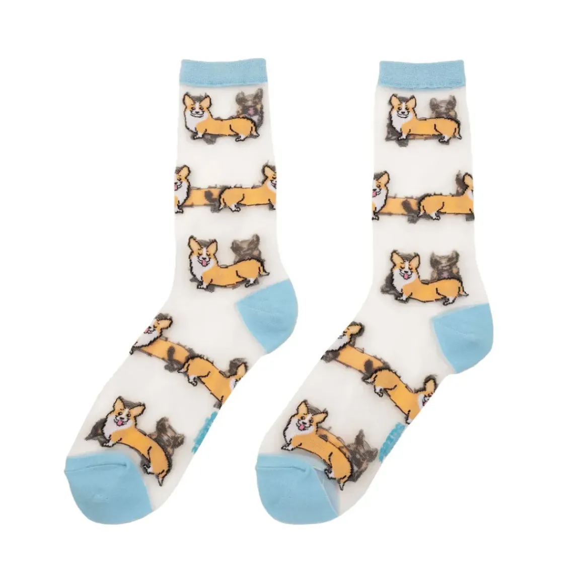 Chaussettes Transparentes - Corgi