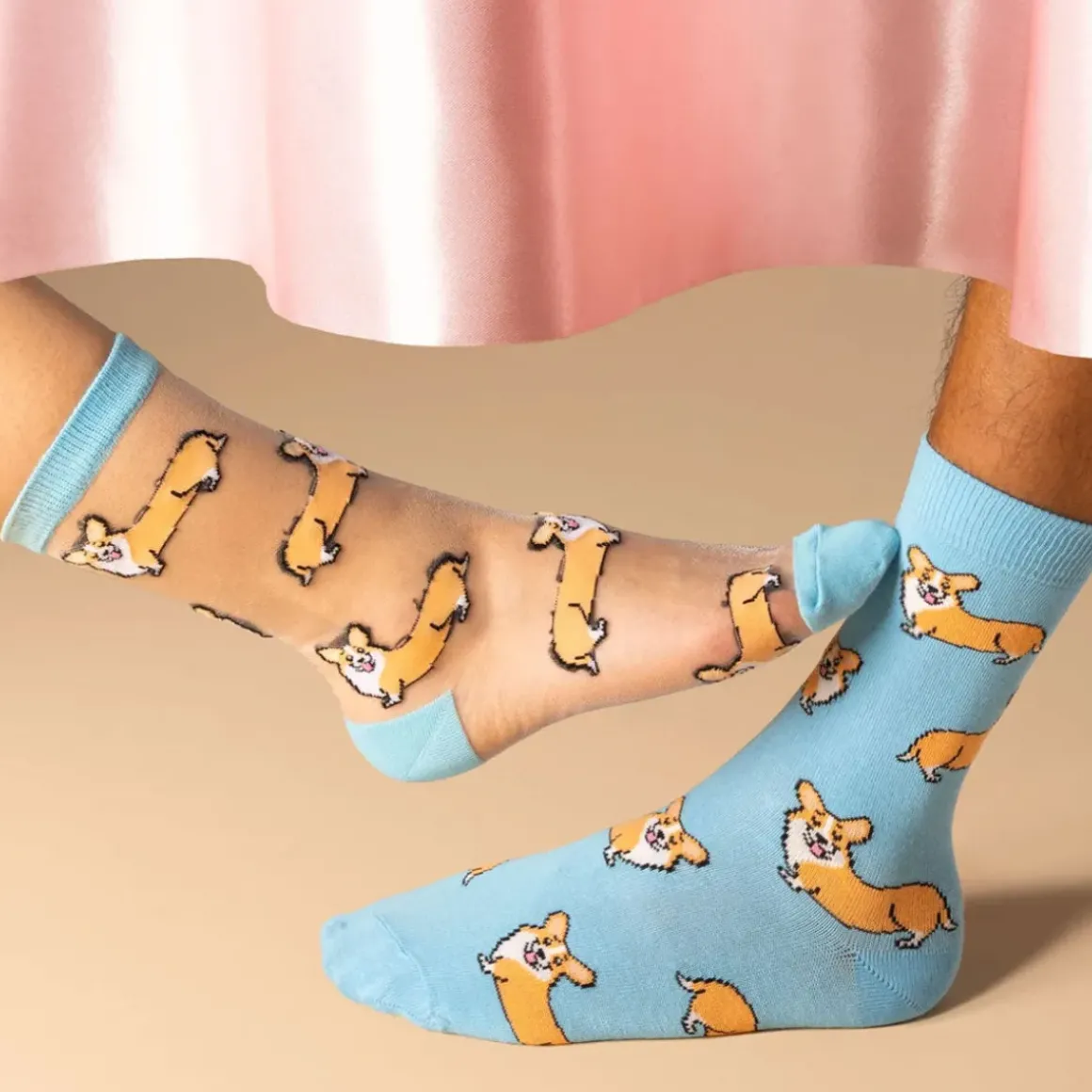 Chaussettes Transparentes - Corgi