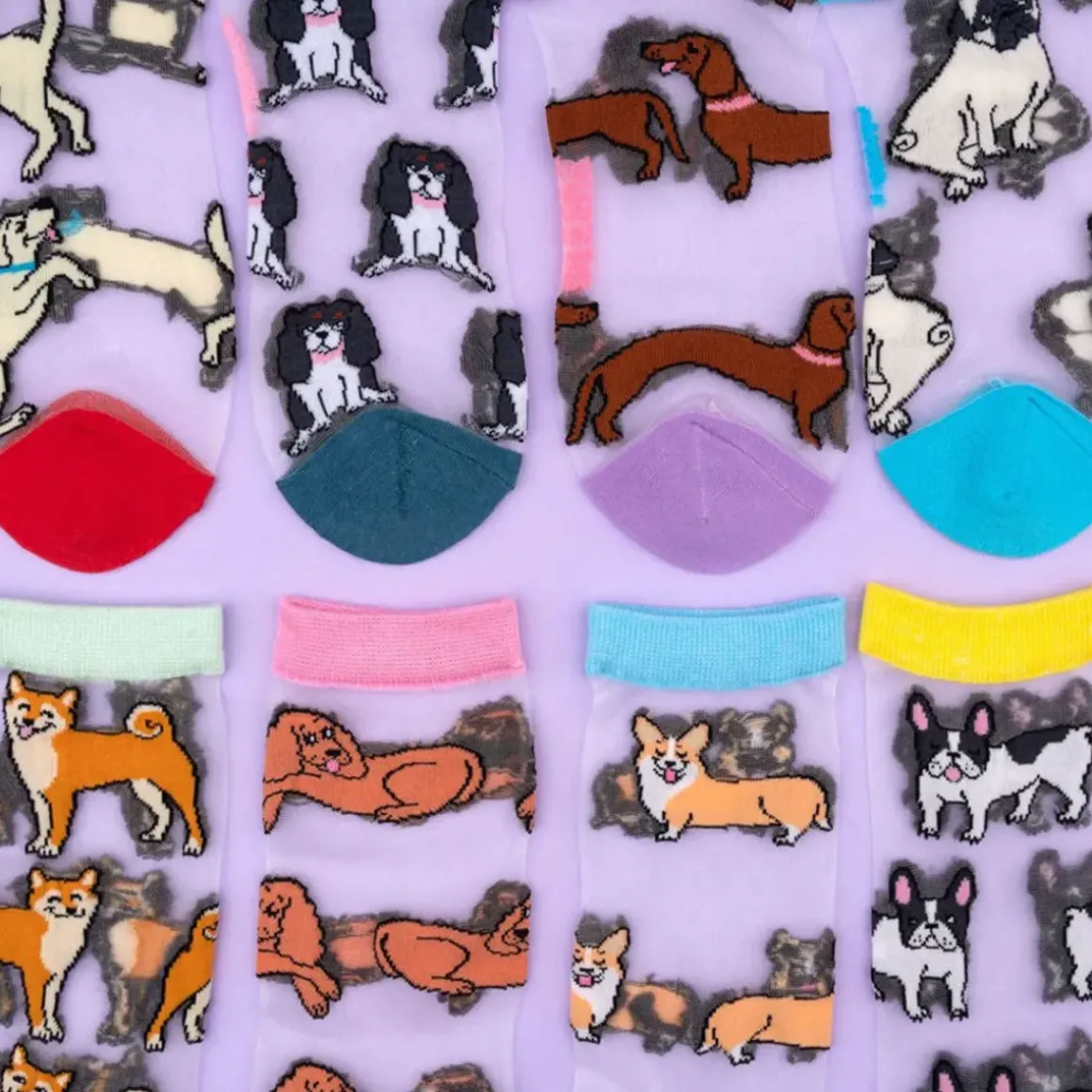 Chaussettes Transparentes - Corgi