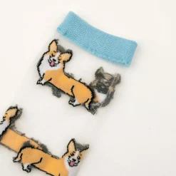 Chaussettes Transparentes - Corgi