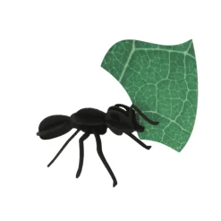 Collection Origami de 3 Fourmis Coupeuses De Feuilles