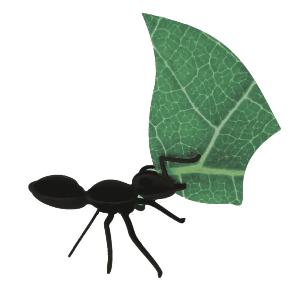 Collection Origami de 3 Fourmis Coupeuses De Feuilles