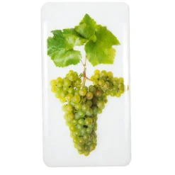 Décoration murale Champagne - Chardonnay #1 - 20 x 35 cm