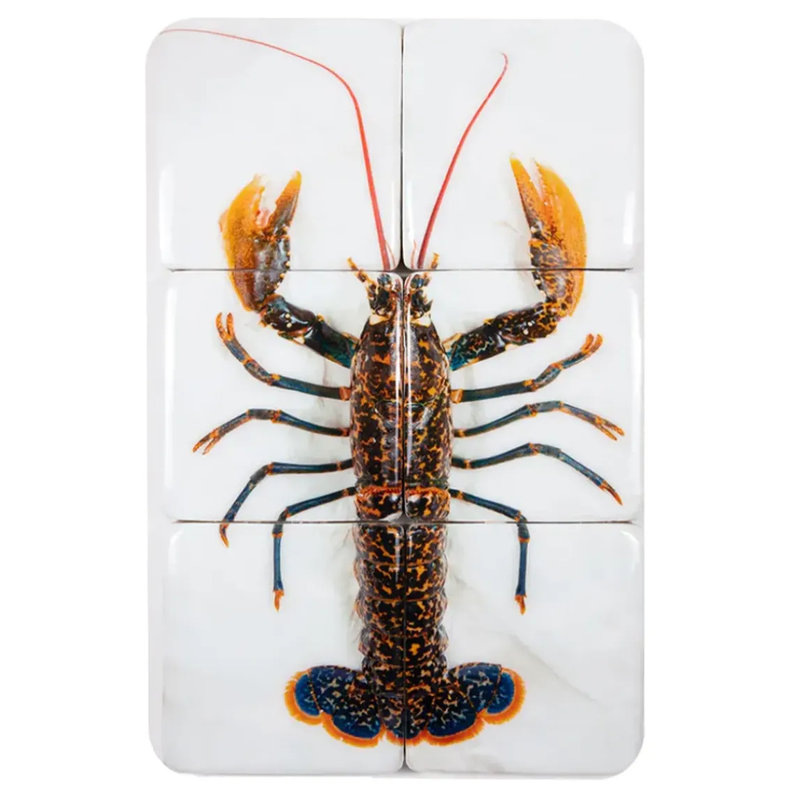 Décoration murale Homard Portugais - 40 x 60 cm