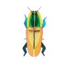 Décoration murale Madagascar Beetle