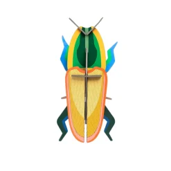 Décoration murale Madagascar Beetle