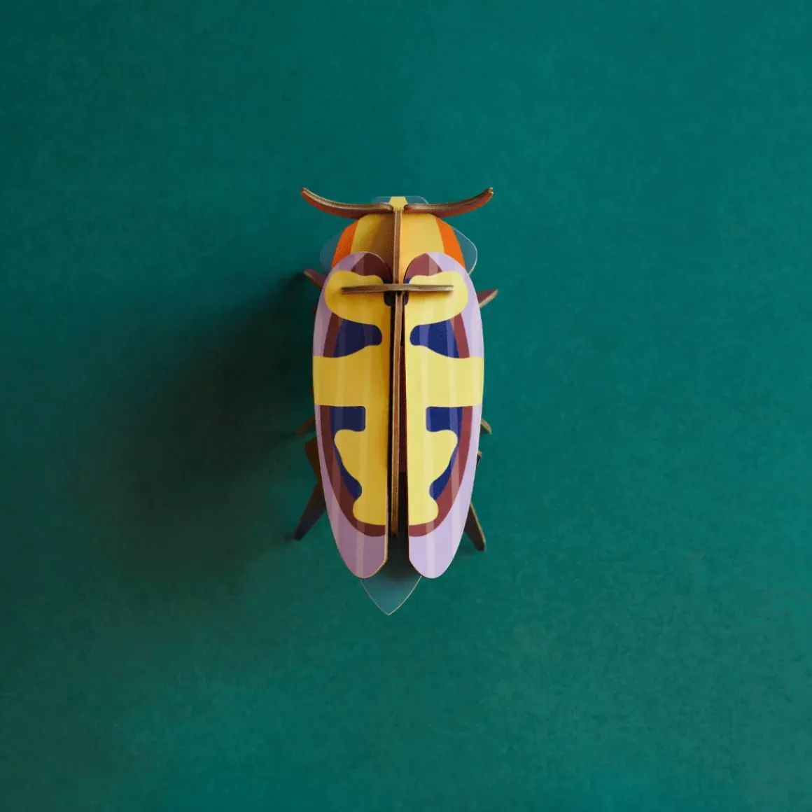 Décoration murale Mango Flower Beetle