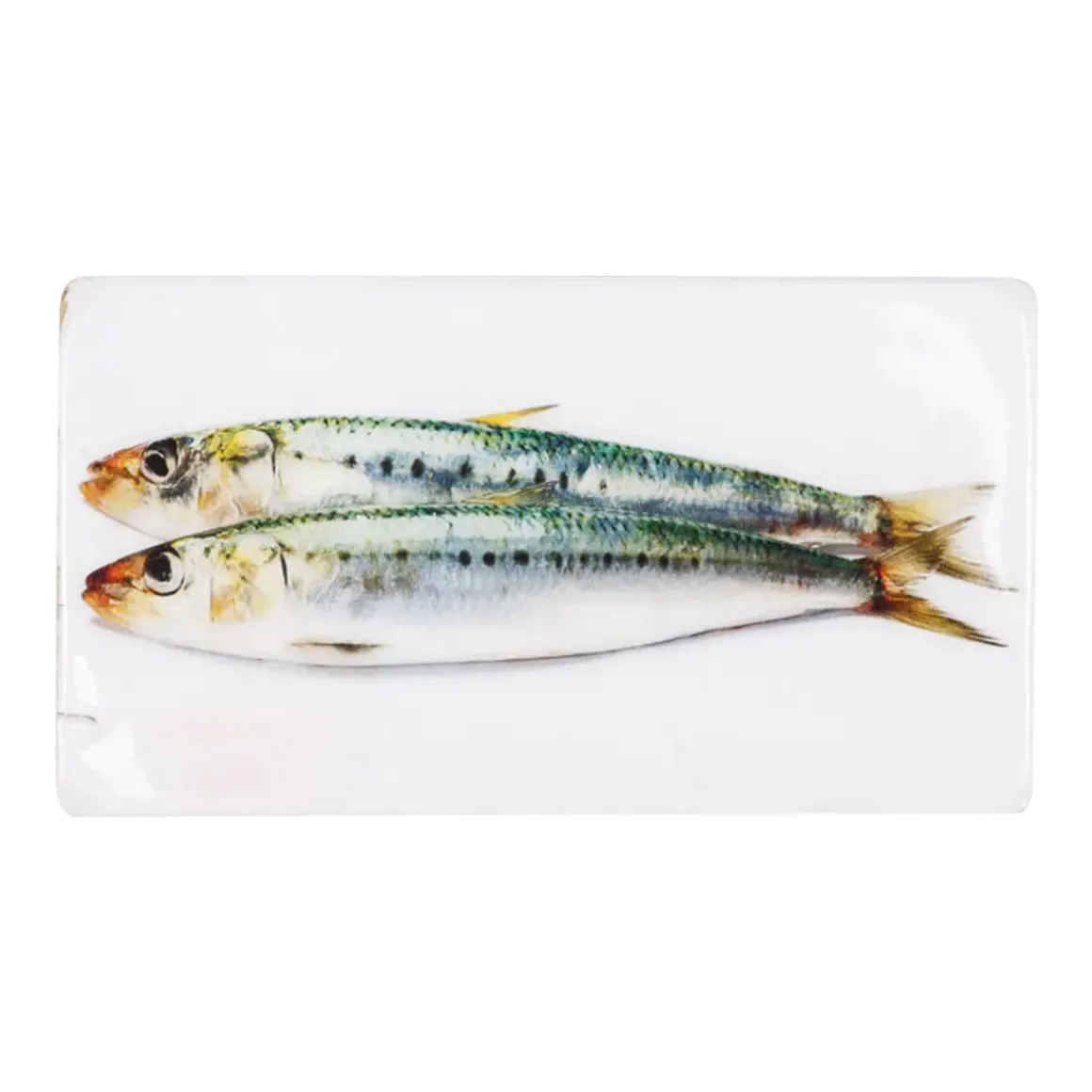 Décoration murale Sardines vertes - 35 x 20 cm