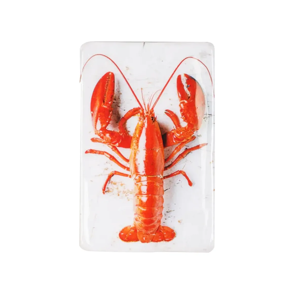 Décoration murale Twin Homard rouge #1 sur fond blanc - 20 cm x 29 cm