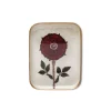 Demi Plateau Pivoine