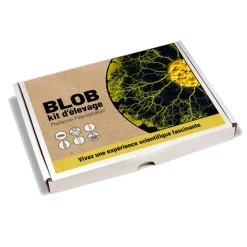 Kit d'élevage Blob