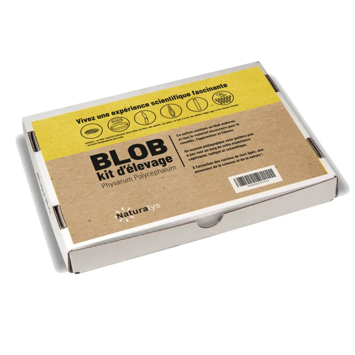 Kit d'élevage Blob