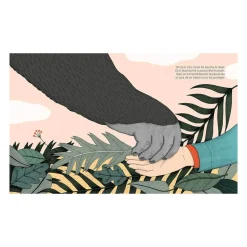 Livre Dian Fossey Collection Petite u0026 Grande