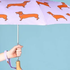 Parapluie à manche Tête de Canard - Teckel - Coucou Suzette