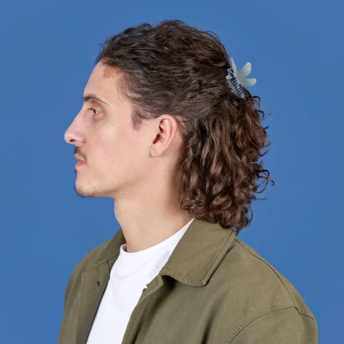 Pince à Cheveux Libellule