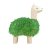 Pot / Jardinière Chia Lama