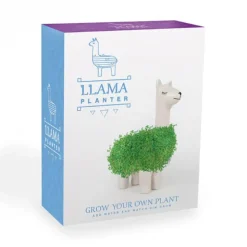 Pot / Jardinière Chia Lama