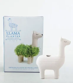 Pot / Jardinière Chia Lama