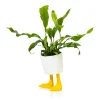Pot / Jardinière Pieds Canards - Jaune u0026 Blanc