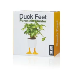 Pot / Jardinière Pieds Canards - Jaune u0026 Blanc