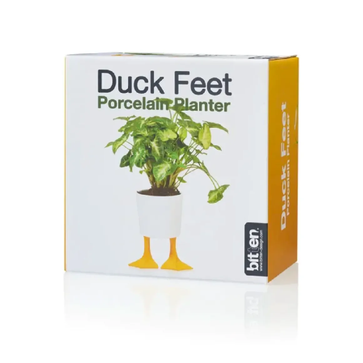 Pot / Jardinière Pieds Canards - Jaune u0026 Blanc