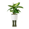 Pot / Jardinière Wellington Petit - Vert