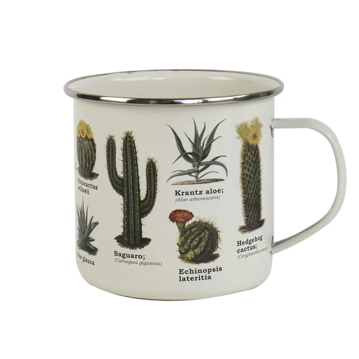 Tasse émail Botanique