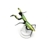 Trophée Origami Mante religieuse - Vert mango métallique