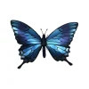 Trophée Origami Papilio Ulysses