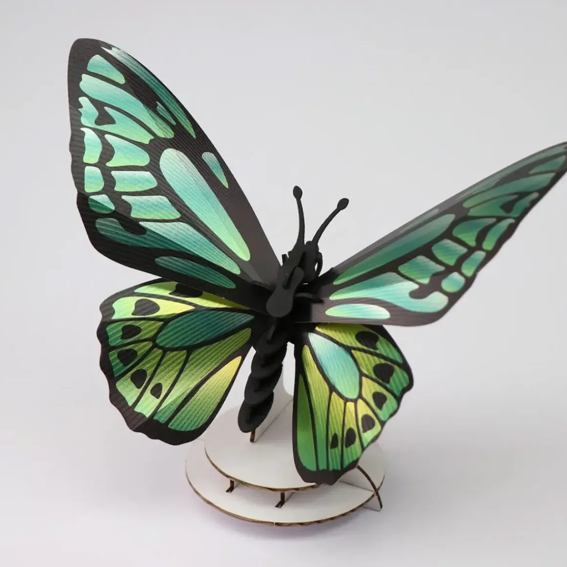 Trophée Origami Papillon Birdwing - Vert