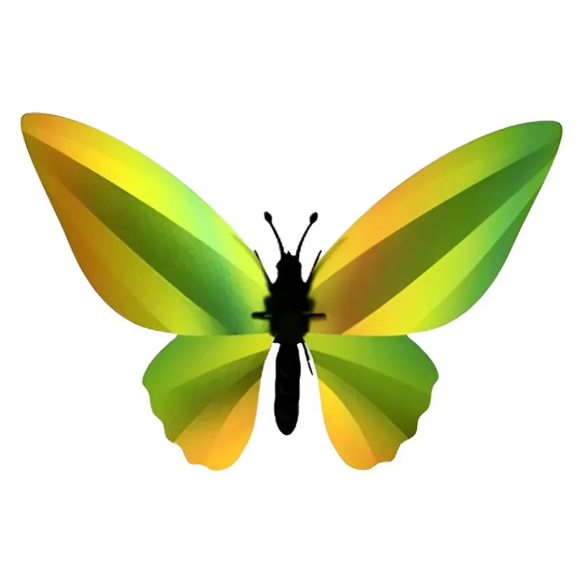 Trophée Origami Papillon Birdwing Vert Mangue